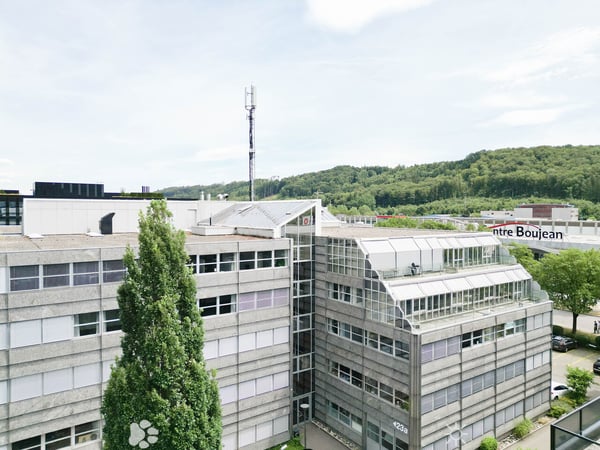 Zwei Gewerbeliegenschaften, ein attraktives Investment 4