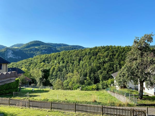 Mehrfamilienhaus mit drei Wohnungen und grossem Umschwung 2