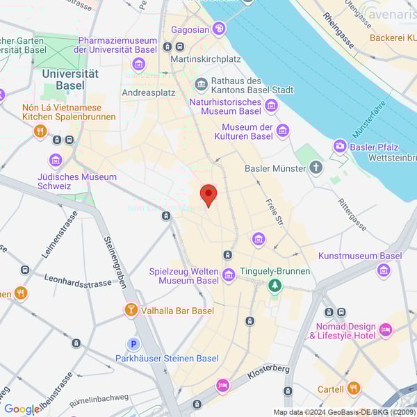 Geschäftsräumlichkeiten in der Innenstadt von Basel zu vermieten 9