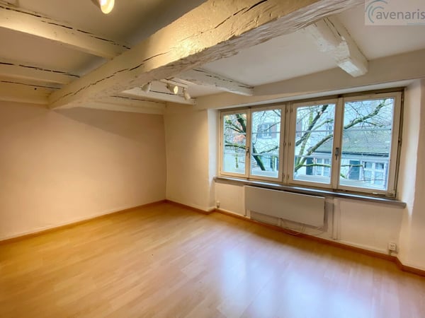 Geschäftsräumlichkeiten in der Innenstadt von Basel zu vermieten 1