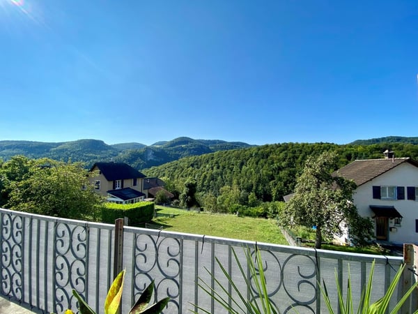 Mehrfamilienhaus mit drei Wohnungen und grossem Umschwung 9