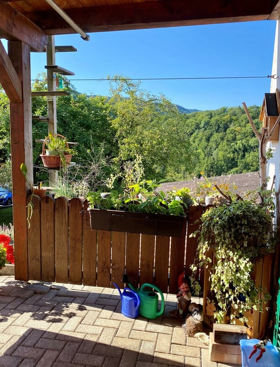 Mehrfamilienhaus mit drei Wohnungen und grossem Umschwung 7