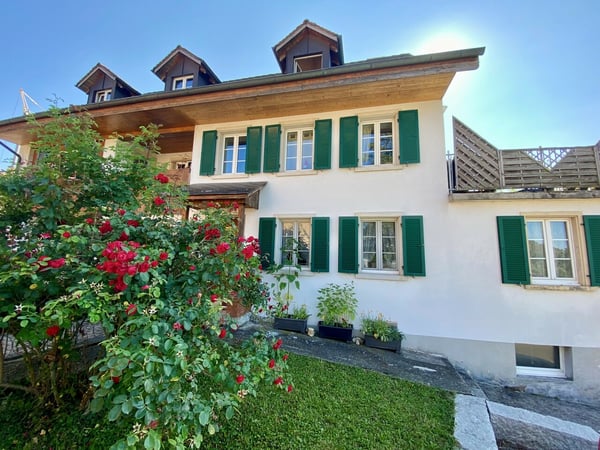 Mehrfamilienhaus mit drei Wohnungen und grossem Umschwung 2