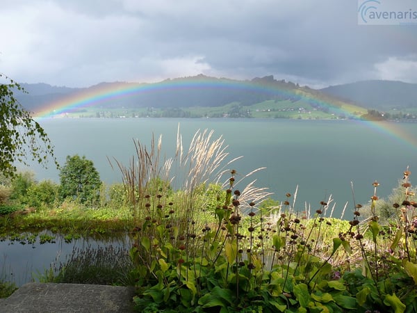 Ihr Wohntraum mit Panoramaausblick am Sihlsee 1