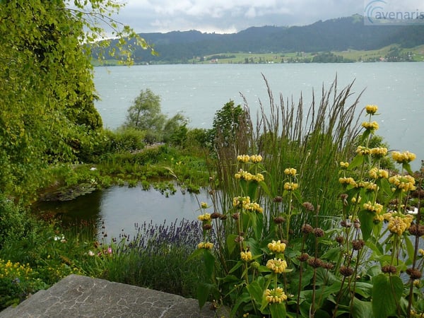 Ihr Wohntraum mit Panoramaausblick am Sihlsee 6