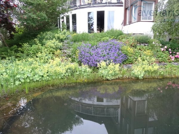 Ihr Wohntraum mit Panoramaausblick am Sihlsee 7