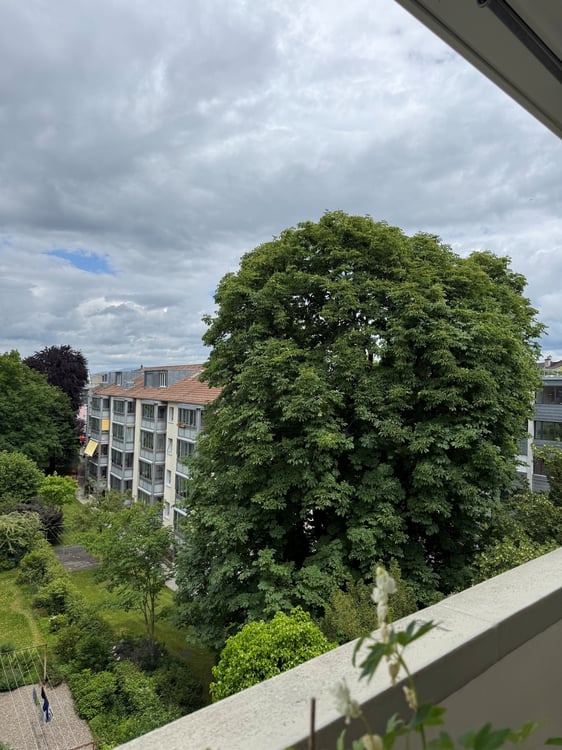Basel
