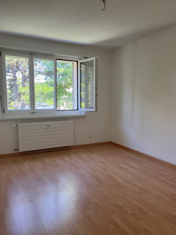 Sanierte Wohnung nähe Lindenplatz Allschwil 5