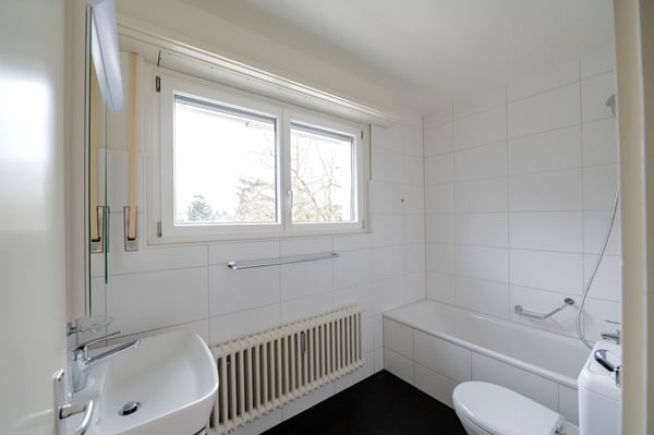 Reinach BL