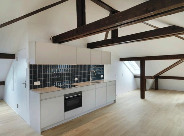 Exklusive möblierte Loft-Studio-Dachwohnung mit modernem Komfort am Rütimeyerplatz 2