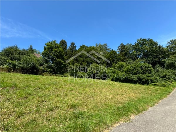 EIN SCHÖNER FLECKEN BAULAND 4