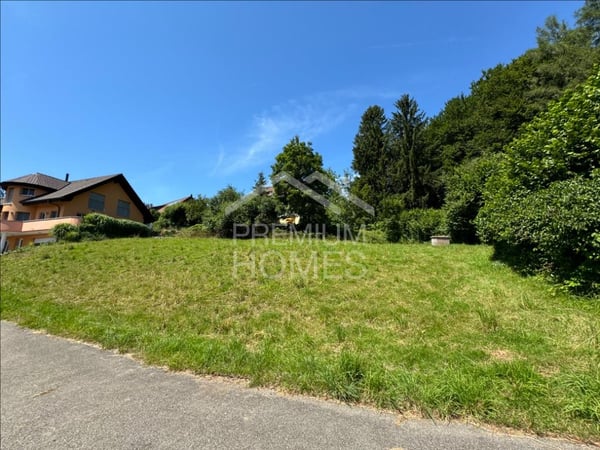 EIN SCHÖNER FLECKEN BAULAND 5