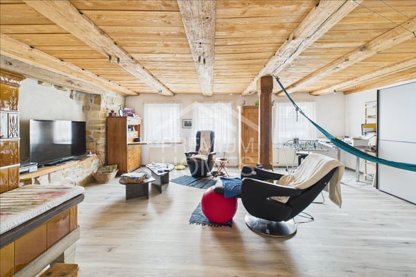 GIGANTISCHE PLATZVERHÄLTNISSE IN SCHÖNEN KLETTGAU 3