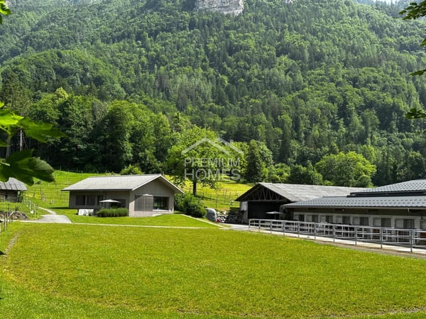 Ein Zuhause für Mensch und Tiere in Brienzwiler 1