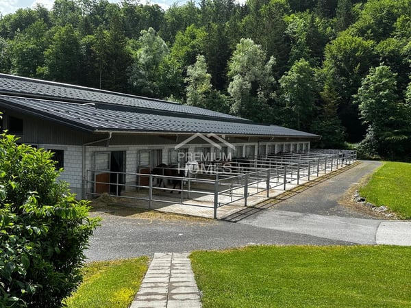 Ein Zuhause für Mensch und Tiere in Brienzwiler 6