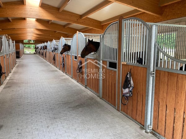 Ein Zuhause für Mensch und Tiere in Brienzwiler 5