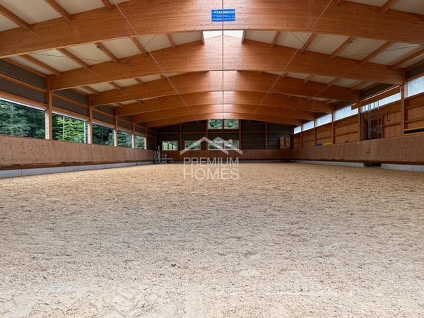 Ein Zuhause für Mensch und Tiere in Brienzwiler 7