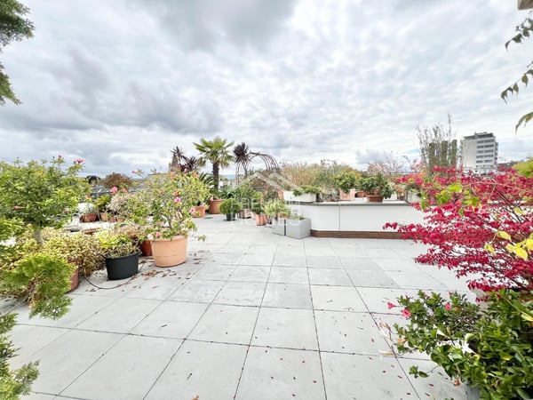 Leben im Zentrum von Basel 6