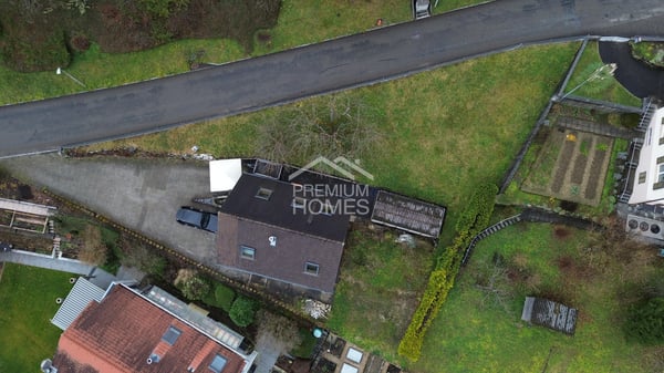 Hier beginnt etwas Grosses - mit Platz für Visionen und Tierliebe 10