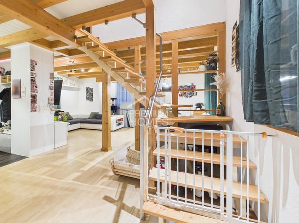 Hier beginnt etwas Grosses - mit Platz für Visionen und Tierliebe 5