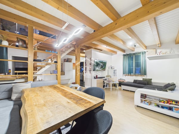 Hier beginnt etwas Grosses - mit Platz für Visionen und Tierliebe 2