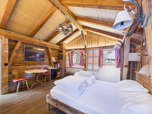 Alpine Cashflow in Grindelwald! 5