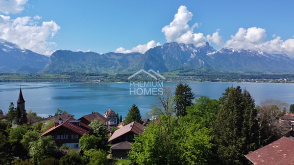 Aussichtsthron über Thun & Thunersee - Ihre Chance an 1A-Adresse! 4