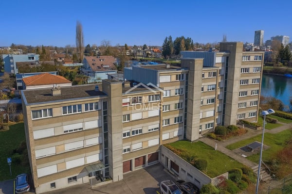 Natur pur an der Aare 1