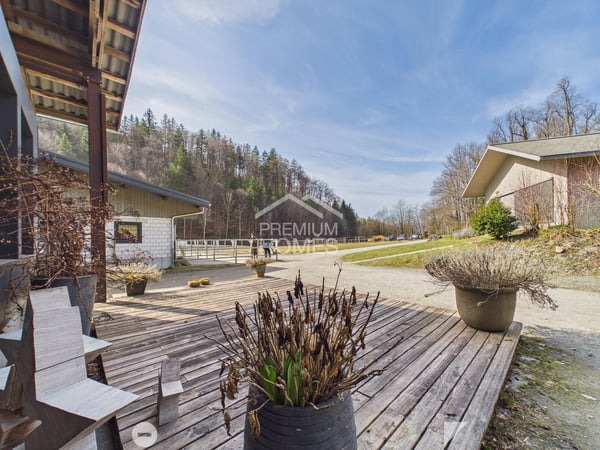 Reitsport auf höchstem Niveau - Ein Paradies für Pferd und Reiter! 6