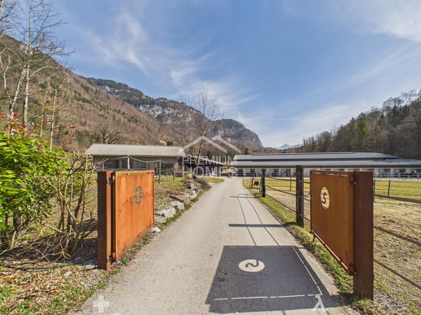 Reitsport auf höchstem Niveau - Ein Paradies für Pferd und Reiter! 7