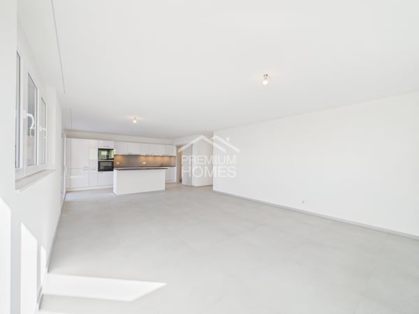 Attique neuf avec superbe terrasse de 36 m² 4