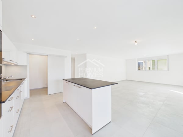 Attique neuf avec superbe terrasse de 36 m² 6