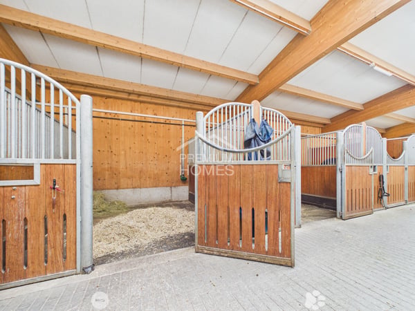 Professionelle Reitanlage mit 24 Boxen, Reithalle und Wohnhaus! 4
