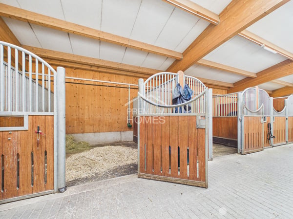 Professionelle Reitanlage mit 24 Boxen, Reithalle und Wohnhaus! 4