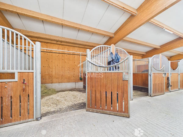 Professionelle Reitanlage mit 24 Boxen, Reithalle und Wohnhaus! 4