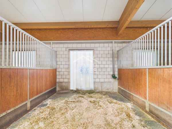 Professionelle Reitanlage mit 24 Boxen, Reithalle und Wohnhaus! 6