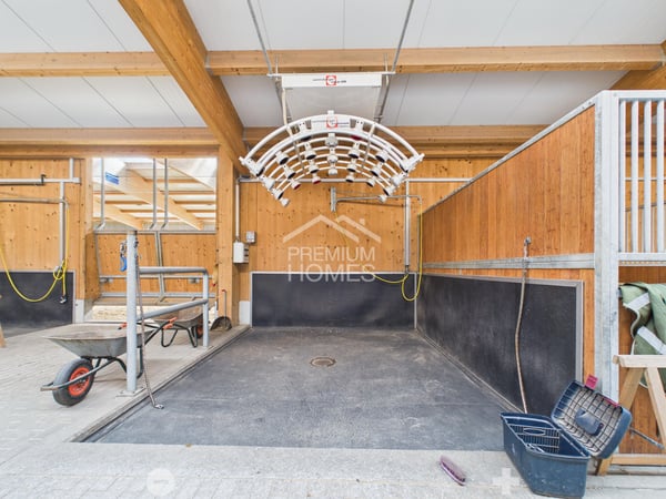 Professionelle Reitanlage mit 24 Boxen, Reithalle und Wohnhaus! 7