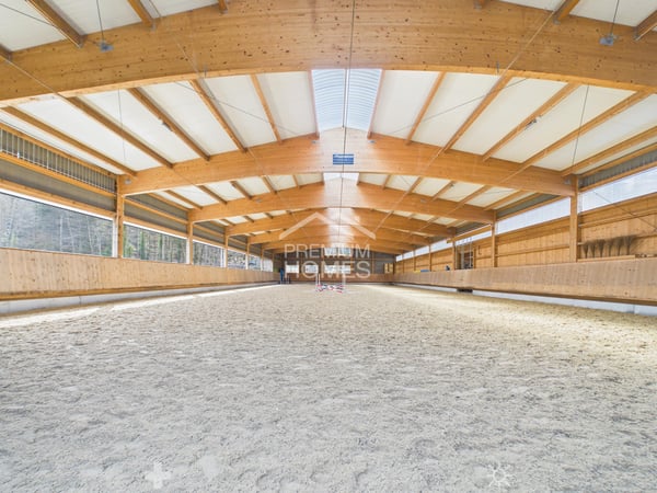Professionelle Reitanlage mit 24 Boxen, Reithalle und Wohnhaus! 3