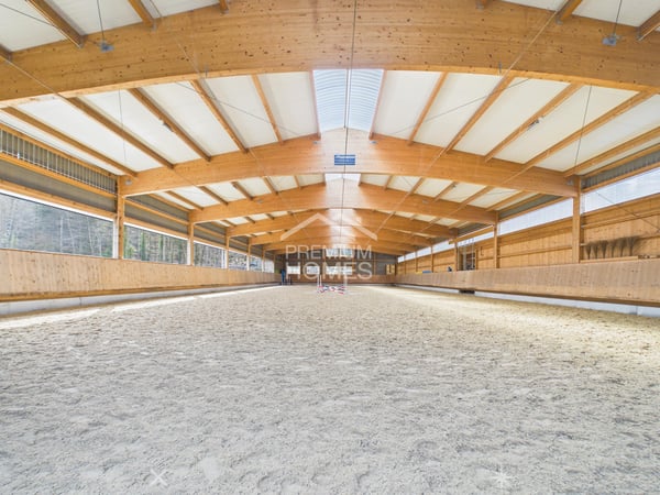 Professionelle Reitanlage mit 24 Boxen, Reithalle und Wohnhaus! 3