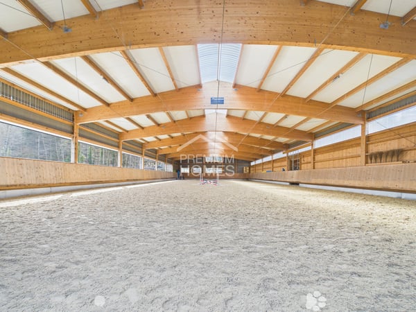 Professionelle Reitanlage mit 24 Boxen, Reithalle und Wohnhaus! 3