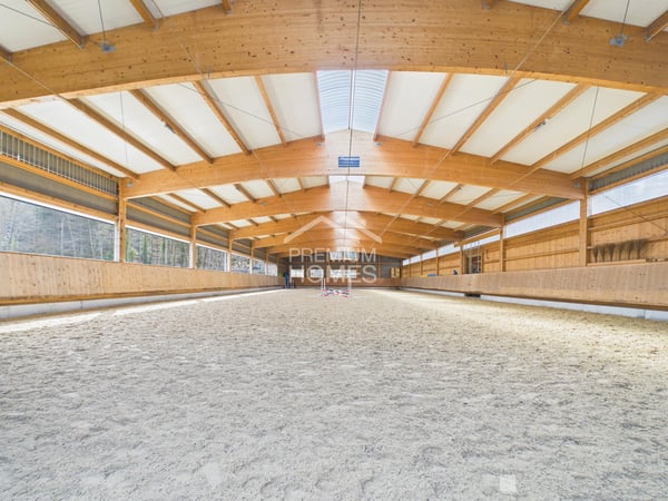 Professionelle Reitanlage mit 24 Boxen, Reithalle und Wohnhaus! 3
