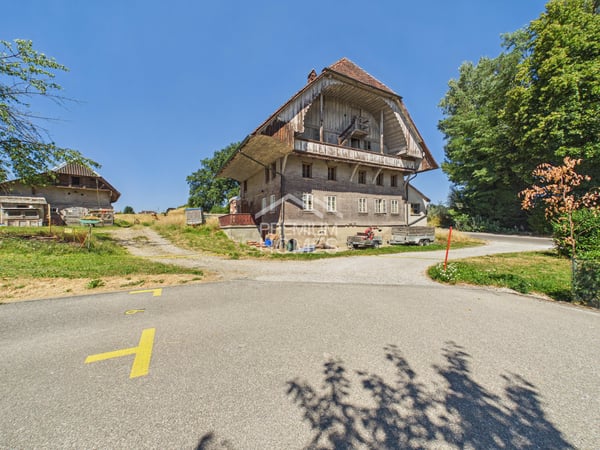 Charaktervolles Bauernhaus mit Entwicklungspotential 1