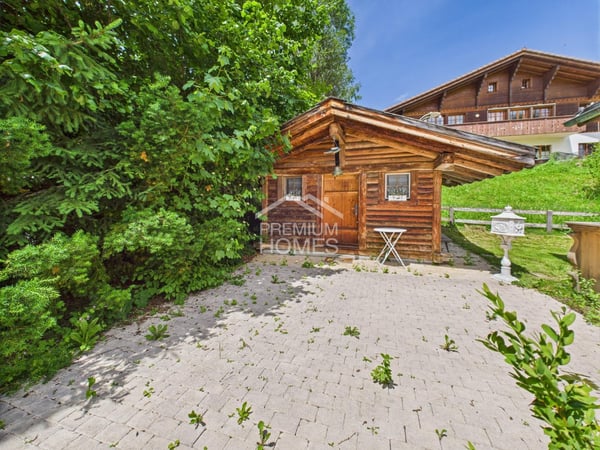 Timeless Treasure on Saanen's Terrace 4