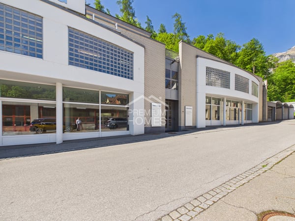 Gewerbefläche mit Showroom oder Rendite 2