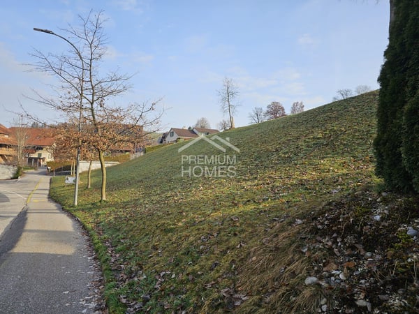 Bauland mit Weitsicht 5