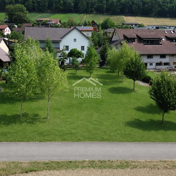 Eine Gelegenheit, die selten geworden ist 4