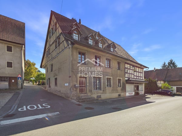 Ein Rohdiamant mit grossem Entwicklungspotenzial 4