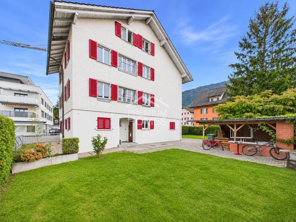 Ein Stück Goldau mit grosser Zukunft 1