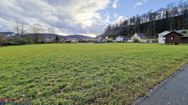 Attraktives Bauland (Abparzellierung möglich) - direkt am Rhein mit Blick ins Grüne 1