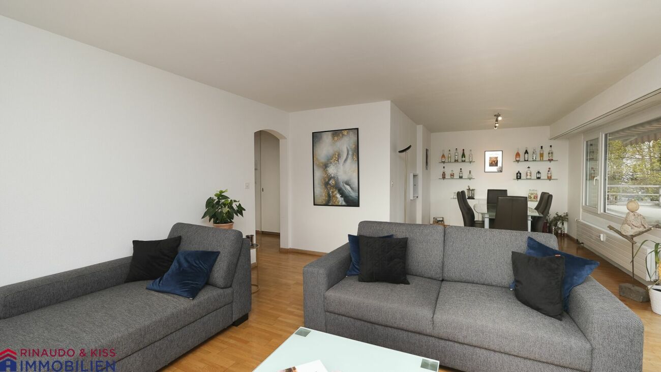 Penthouse apartment with panoramic view